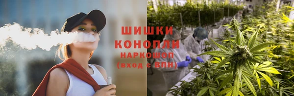 тгк Каменногорск