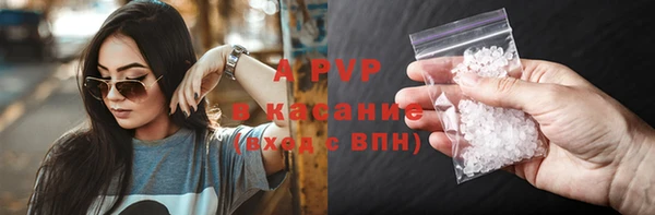 тгк Каменногорск