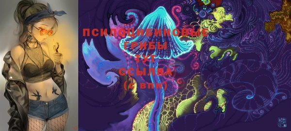 мяу мяу кристалл Каменка