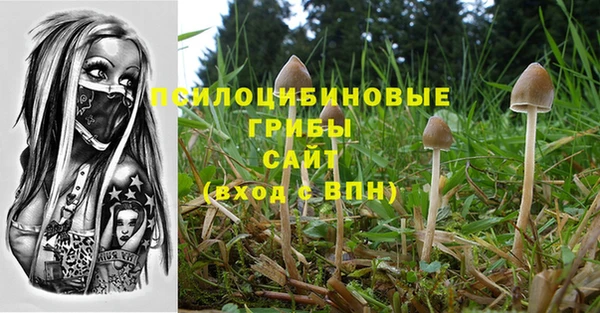 шишки Каменск-Шахтинский