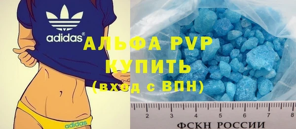 тгк Каменногорск